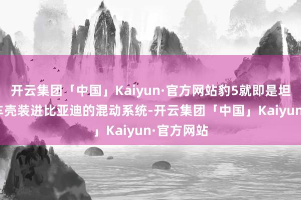 开云集团「中国」Kaiyun·官方网站豹5就即是坦克300的车壳装进比亚迪的混动系统-开云集团「中国」Kaiyun·官方网站