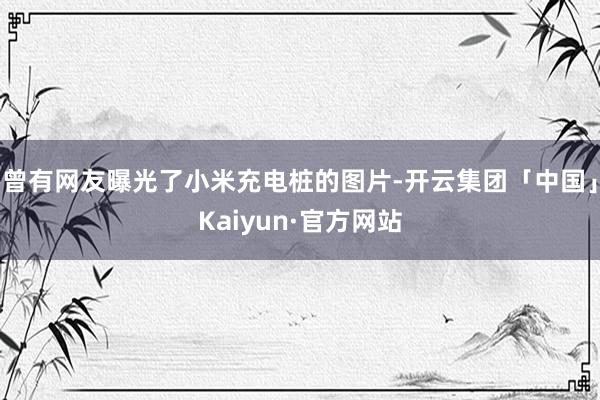 曾有网友曝光了小米充电桩的图片-开云集团「中国」Kaiyun·官方网站