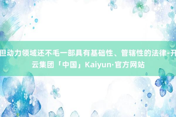 但动力领域还不毛一部具有基础性、管辖性的法律-开云集团「中国」Kaiyun·官方网站