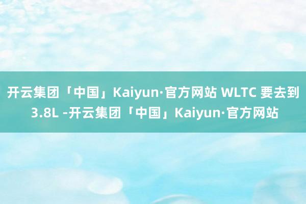 开云集团「中国」Kaiyun·官方网站 WLTC 要去到 3.8L -开云集团「中国」Kaiyun·官方网站