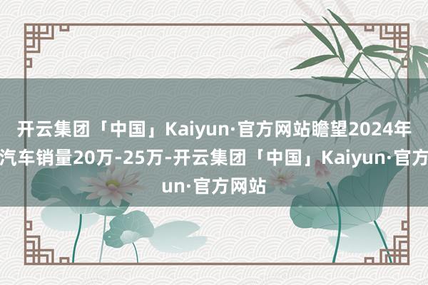 开云集团「中国」Kaiyun·官方网站瞻望2024年电动汽车销量20万-25万-开云集团「中国」Kaiyun·官方网站