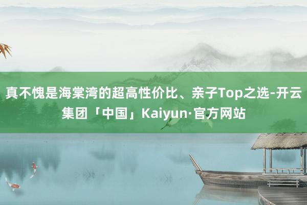 真不愧是海棠湾的超高性价比、亲子Top之选-开云集团「中国」Kaiyun·官方网站