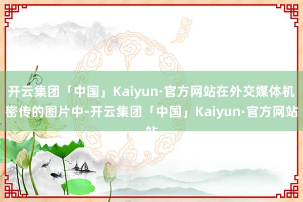 开云集团「中国」Kaiyun·官方网站在外交媒体机密传的图片中-开云集团「中国」Kaiyun·官方网站