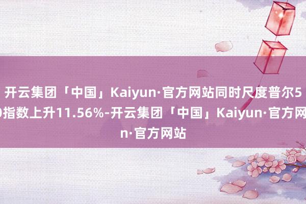 开云集团「中国」Kaiyun·官方网站同时尺度普尔500指数上升11.56%-开云集团「中国」Kaiyun·官方网站