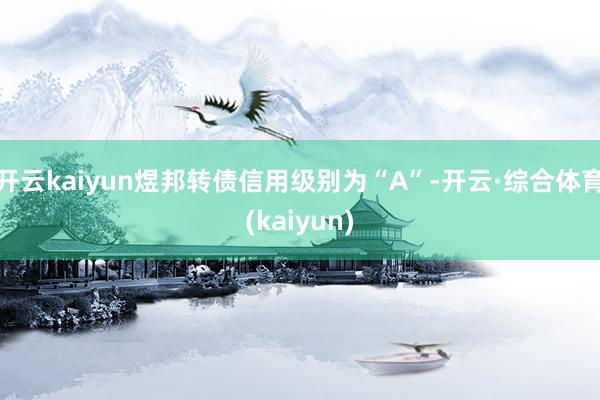 开云kaiyun煜邦转债信用级别为“A”-开云·综合体育(kaiyun)