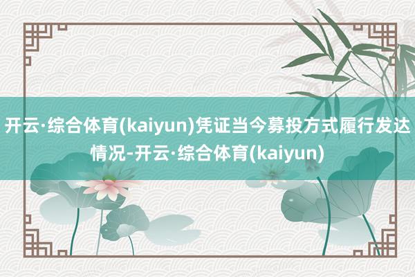 开云·综合体育(kaiyun)凭证当今募投方式履行发达情况-开云·综合体育(kaiyun)