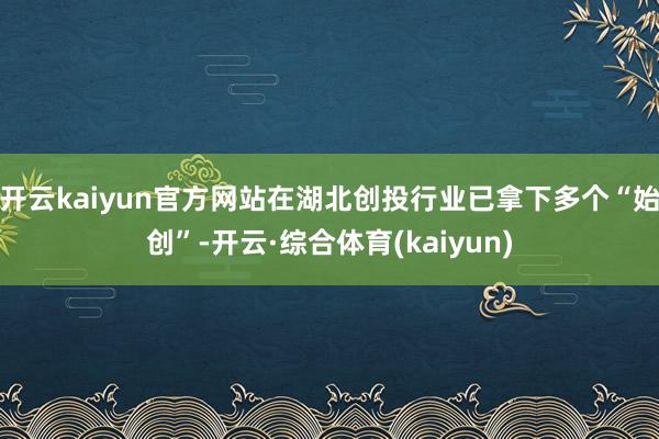 开云kaiyun官方网站在湖北创投行业已拿下多个“始创”-开云·综合体育(kaiyun)