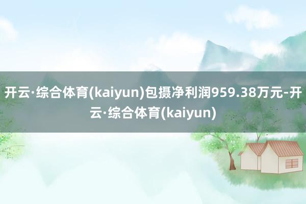 开云·综合体育(kaiyun)包摄净利润959.38万元-开云·综合体育(kaiyun)