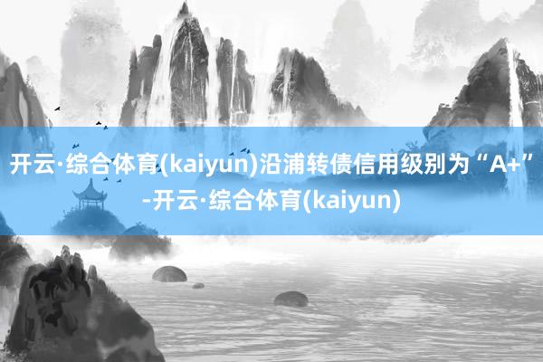 开云·综合体育(kaiyun)沿浦转债信用级别为“A+”-开云·综合体育(kaiyun)