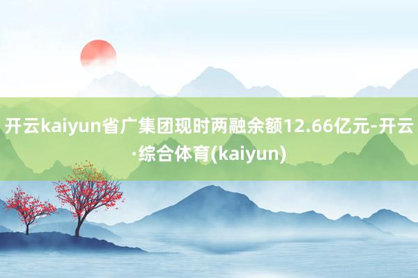 开云kaiyun省广集团现时两融余额12.66亿元-开云·综合体育(kaiyun)