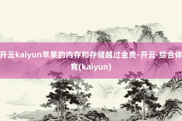 开云kaiyun苹果的内存和存储越过金贵-开云·综合体育(kaiyun)
